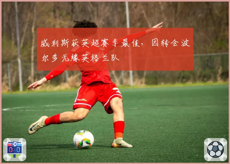 威利斯获英超赛季最佳，因转会波尔多无缘英格兰队