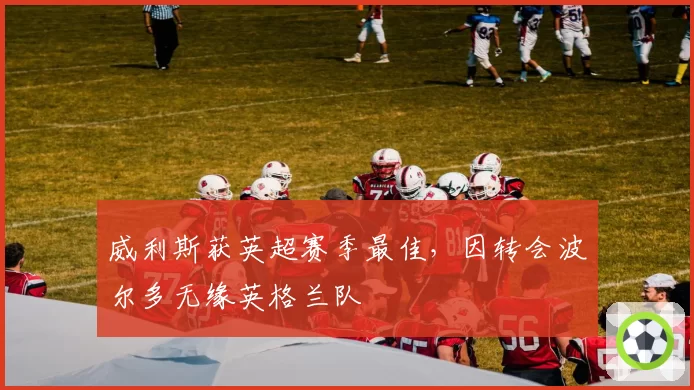 威利斯获英超赛季最佳，因转会波尔多无缘英格兰队