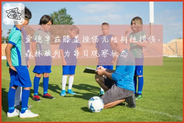 爱德华兹膝盖挫伤无结构性损伤，森林狼列为每日观察状态